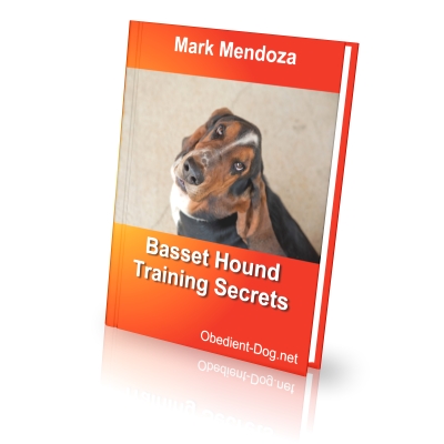 basset hound training